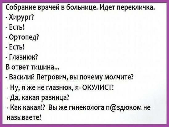 Собрание врачей в больнице Идет перекличка Хирург Есть Ортопед Есть Глазнюк В ответ тишина Василий Петрович вы почему молчите Ну я же не глазнюк я ОКУЛИСТ Да какая разница Как какая Вы же гинеколога пздюком не называете