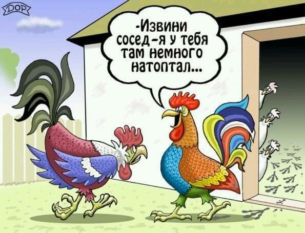 Извини сосед я У тебя там немного натоптал