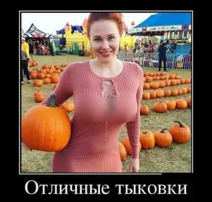 Отличные тыковки
