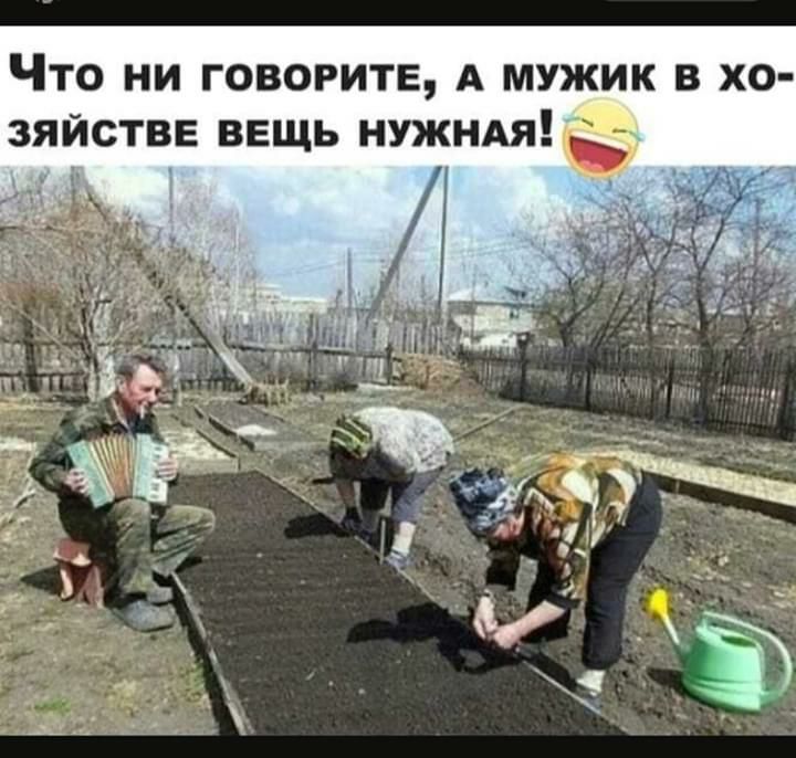 Что ни говорите А мужик в хо зяйстве вещь нужнмцщ