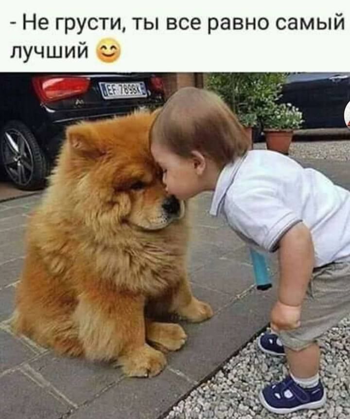 Не грусти ты все равно самый лучший за