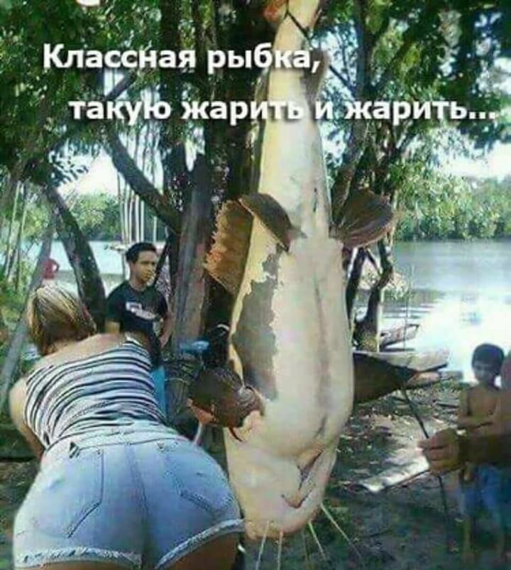 т КЛЗЁЙЗЯ ры