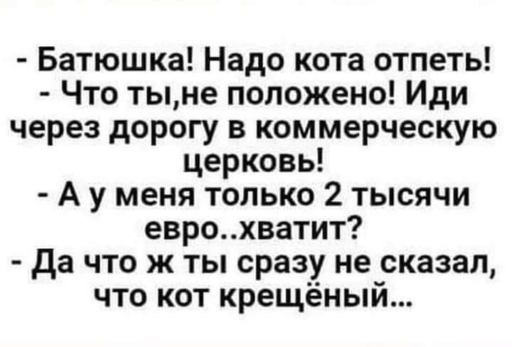 Батюшка Надо кота отпеть Что тыне положено Иди через дорогу в коммерческую церковь А у меня только 2 тысячи еврохватит да что ж ты сразу не сказал что кот крещёный