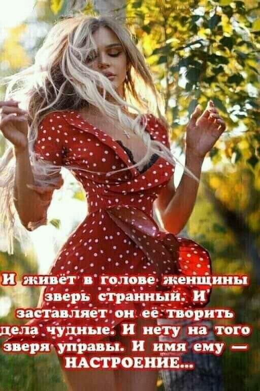 дела дни и нету из пго зверя управы и наши ему АСТРОЁ1ЁЁ