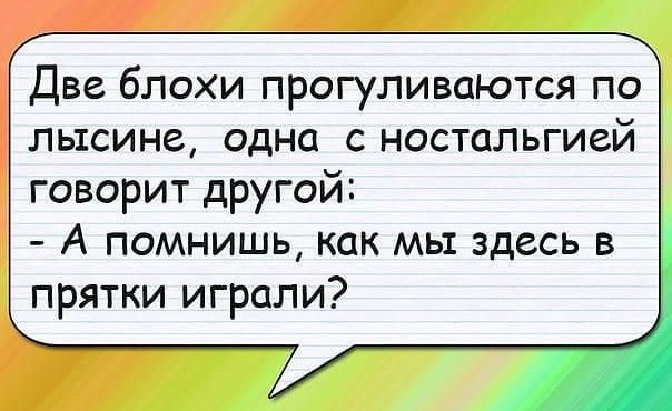 Две блохи прогуливаются по лысине одна с ностальгией говорит другой А помнишь как мы здесь в прятки играли