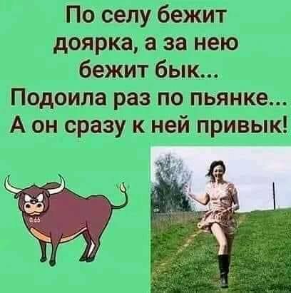 ідщцуьыд ёикщш аж на ттт ила ца тг 1 плз _ визит к чёт талышей 911 из ё