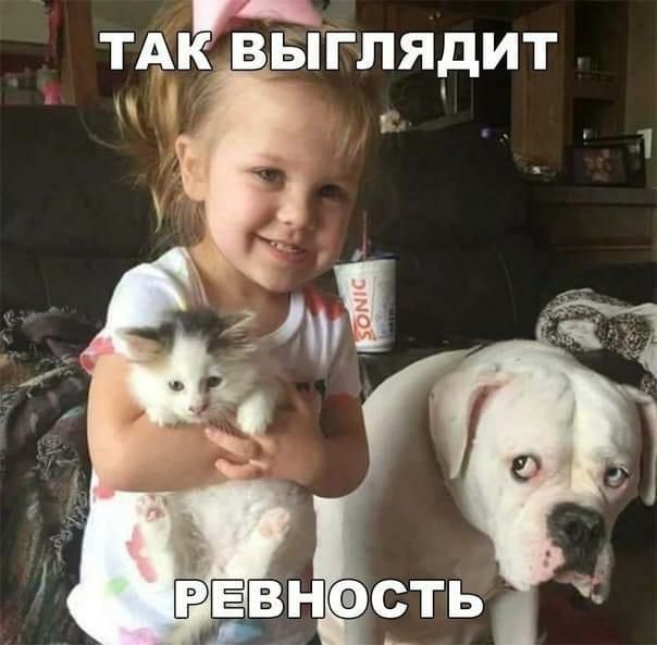 ТАК ВЫГЛЯДИТ