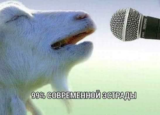 ЗСнТРАды