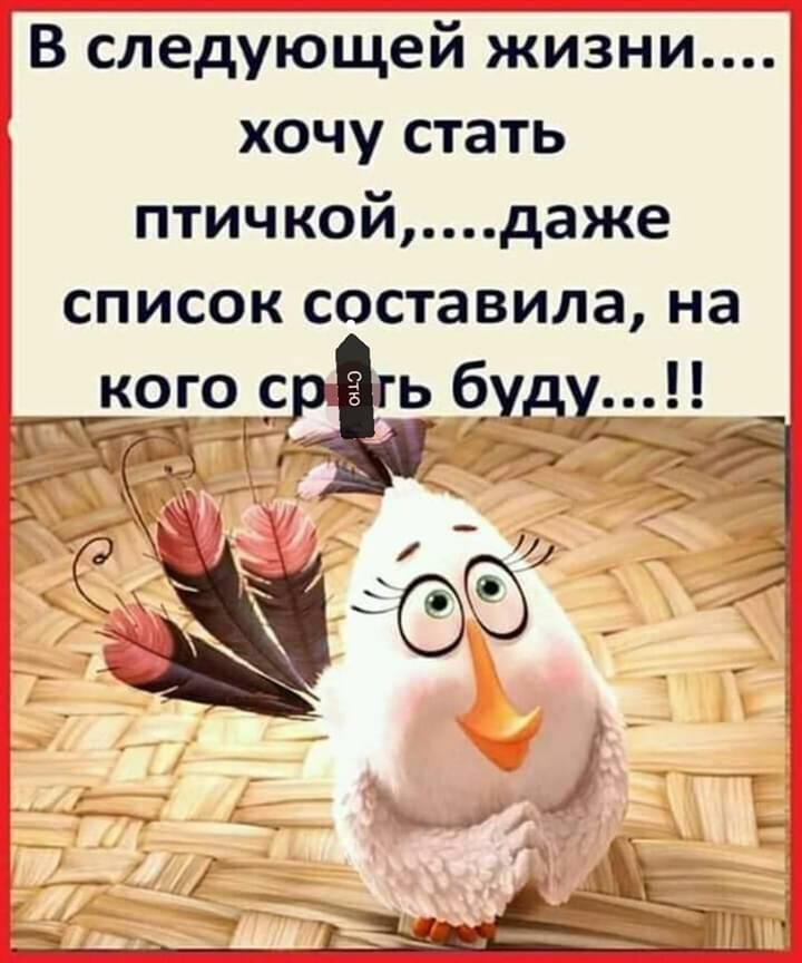 В следующей жизни хочу стать птичкойдаже список составила на 3059 гь буду г 13 35 Од
