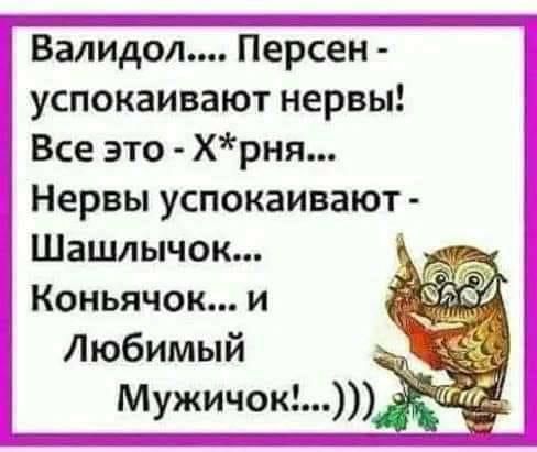 Валидол Персен успокаивают нервы Все это хрня Нервы успокаивают Шашлычок Коньячок и Любимый _ Мужичок