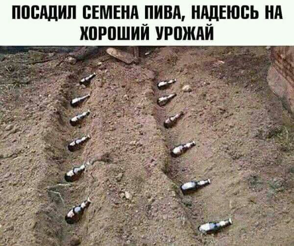 ППЩЩИП СЕМЕНА _ПИВА НАДЕЮСЬ НА ШРПШИИ УРПЖАИ
