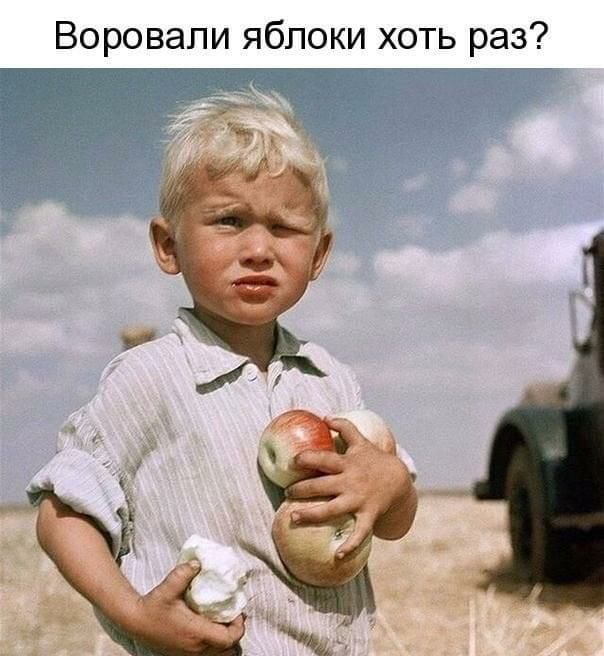 Воровапи яблоки хоть раз