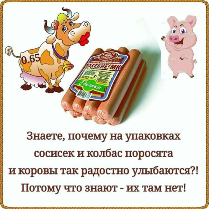 ихтам нет СОСИСЕК И колбас поросята Потому что знают 6 ж т и