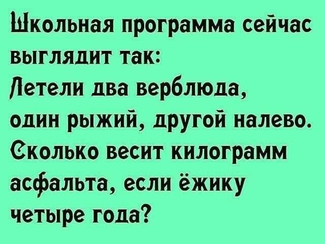 Школьная программа сейчас выглядит так Летели два верблюда один рыжий другой налево Сколько весит килограмм асфальта если ёжику четыре года