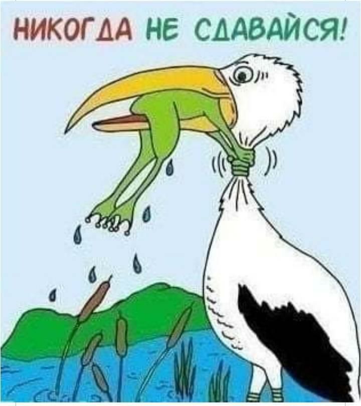 НИКОГДА НЕ СААВДЙСЯ