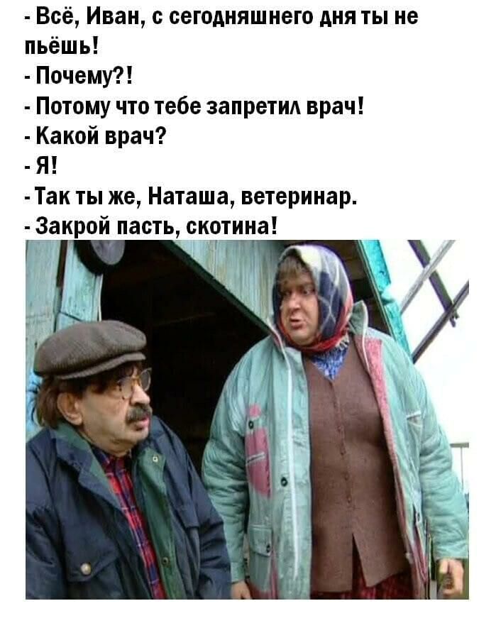 Всё Иван сегодняшнего дня ты не пьёшь Почему Потому что тебе запрет врач Какой врач Я Так ты же Наташа ветеринар _3акрой пасть скотина