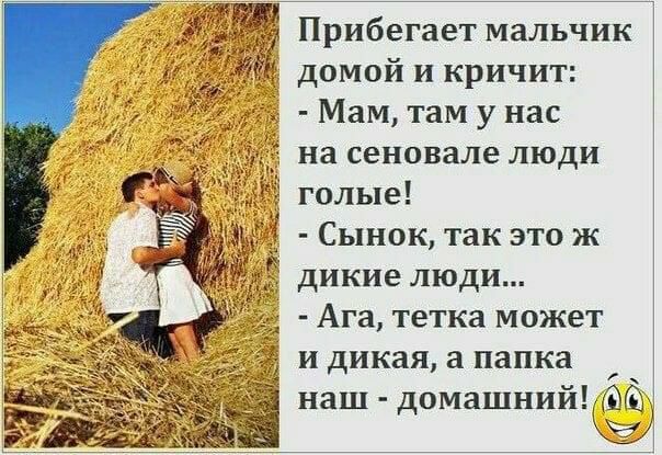 я Прибегает мальчик домой и кричит Мам там у нас на сеновале люди _ голые Сынок так это ж дикие люди Ага тетка может и дикая а папка наш домашний 6