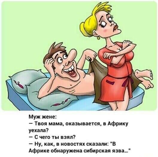Муж жене Твоя мама оказывается в Африку уехала с чего ты взял Ну как в новости сказали В Африке обнаружена сибирская язва