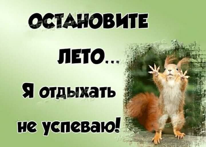 ОСТАНОВИТЕ ЛЕТО Я отдыхать не успеваю 4 112447
