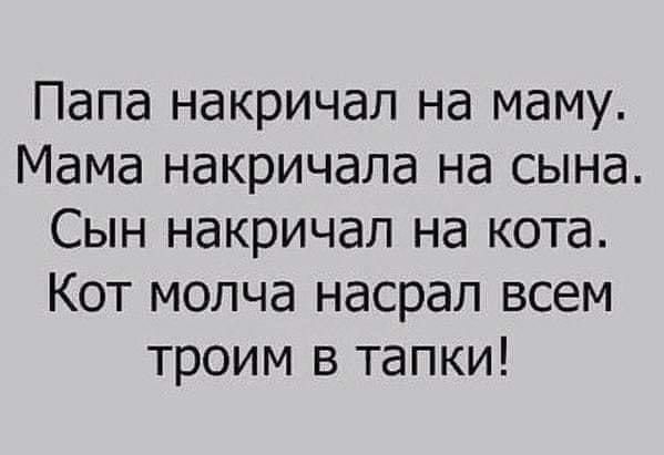 Папа накричап на маму Мама накричала на сына Сын накричап на кота Кот молча насрал всем троим в тапки