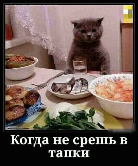 7 _ Когда не срешь в ташси