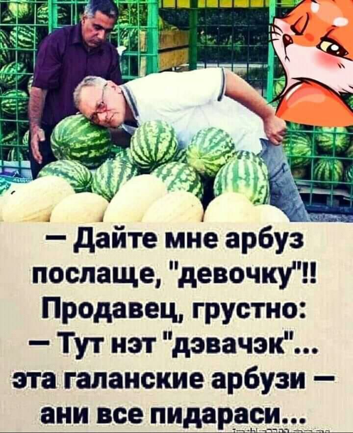 дайте мне арбуз послаще девочку Продавец грустно Тут нэт дэвачэк эта галанские арбузи ани все пидардси ха п А4