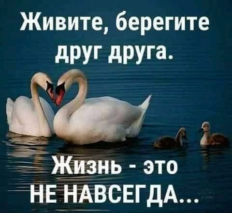 Живите берегите дРУГ дРУГЗ й __ ЖЁзнь это ЁЕЁНЁВСЕГДА