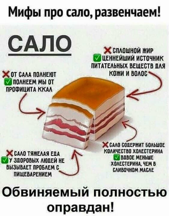 Мифы про сало развенчаем САП о Хсшюшипи тир итивйшии источник нительных ввшвсть мя КВШИ И БПАОБ пишиш ккм 2 Хама шьшпс смо тятщя ш количество хпдшщид у 0Т БАМ ПОАНЕШТ ПОШЕЕМ МЫ ПТ здоровыхшеи и Оша мыш хамит ЧЕМ в пианист мыши шщ ПИЩЕВАРЕНИЕМ Обвиняемый полностью оправдан