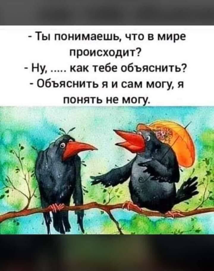 Ты понимаешь что в мире происходит Ну как тебе объяснить Объяснить я и сам могу я понять не могу