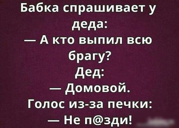 Бабка спрашивает у деда А кто выпил всю брагу дед домовой Голос из за печки Не пзди