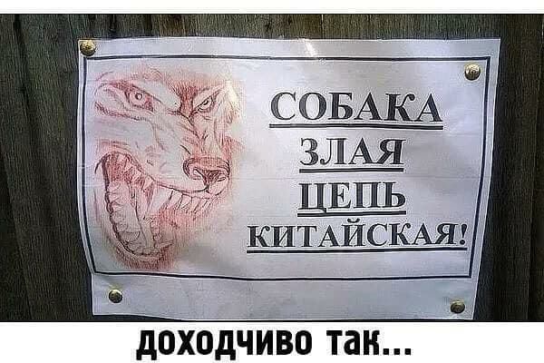 СОБАКА ЗЛАЯ ЦЕПЬ д Дбходііивб іан
