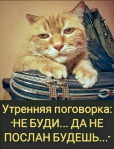 Утренняя поговорка НЕ БУДИ ДА НЕ ПОСЛАН БУДЕШЬ