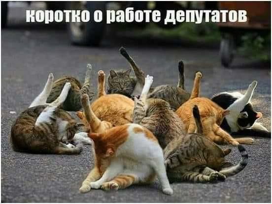 _нбпопю о паботе депутатов