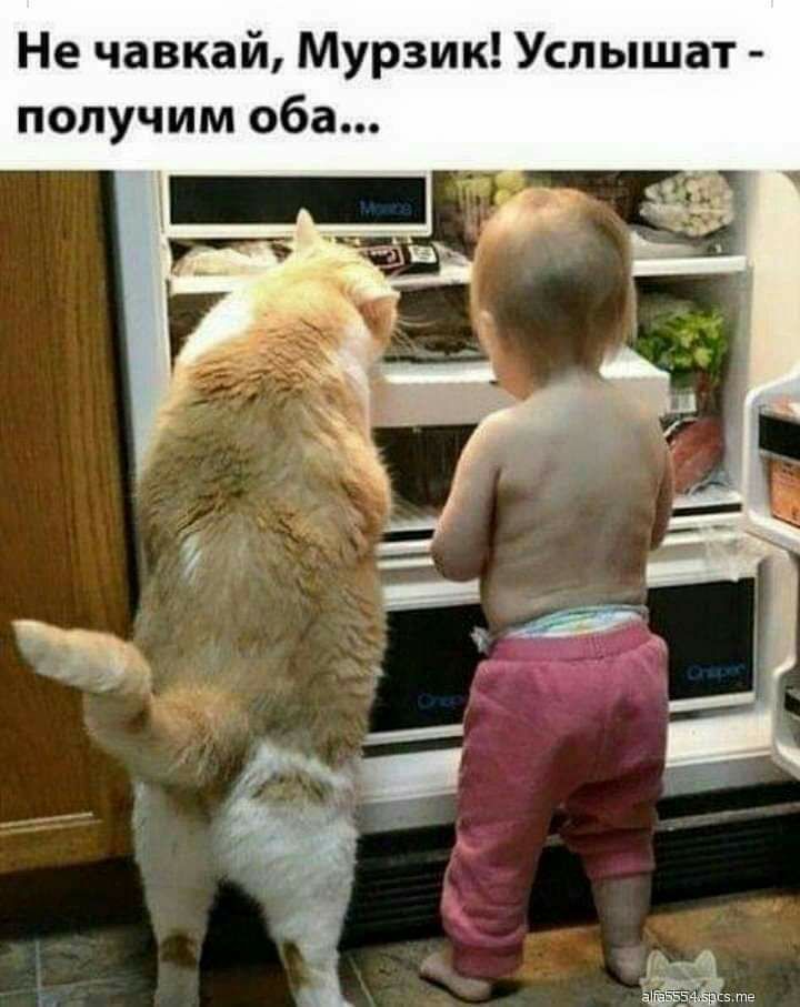 Не чавкай Мурзик Успышат получим оба