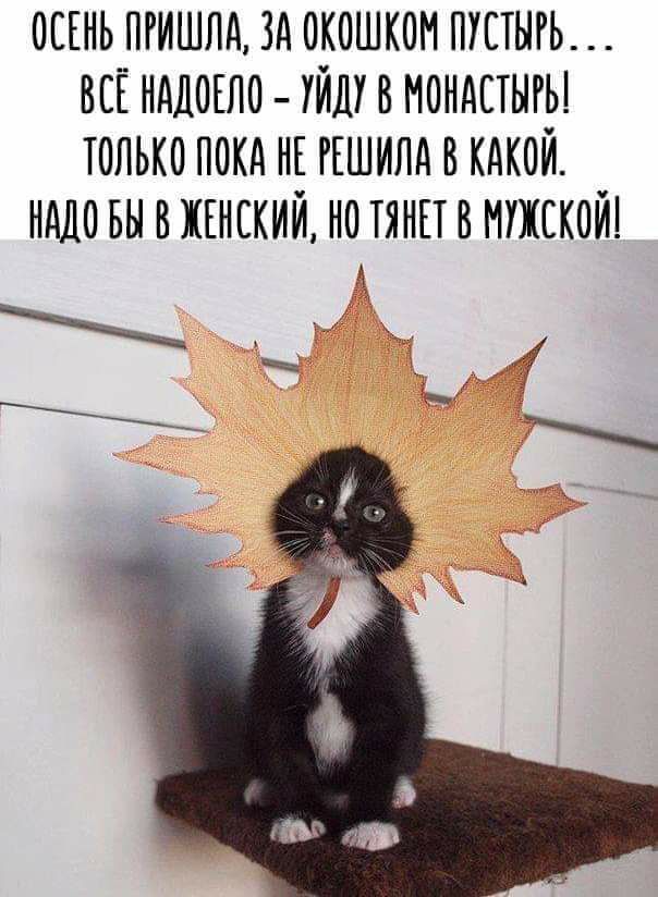ооонь поишло зо окошком пустого __ всё нодооло _ уйду в мондотыгы только поко но гошило в кокой нодо вы в конский но тянп в мужской А