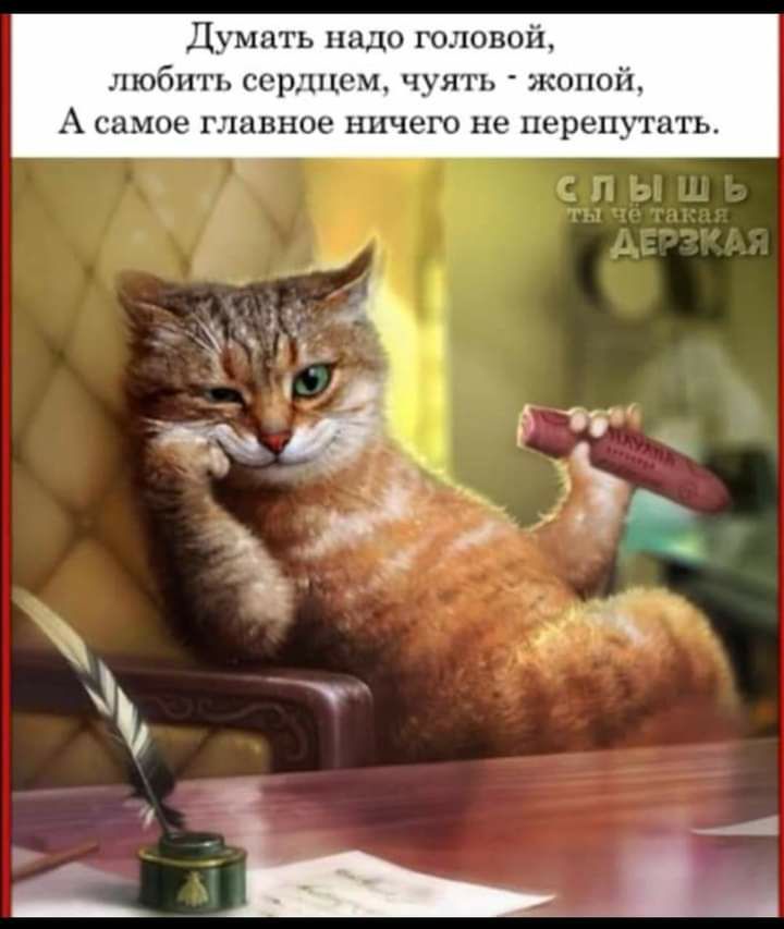 Думать надо головой любить сердцем чуять жопой А самое главное ничего не перепутать
