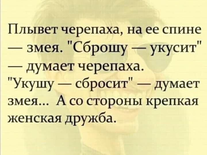 Плывет черепаха на ее спине змея Сброшу укусит думает черепаха Укушу сбросит думает змея А со стороны крепкая женская дружба