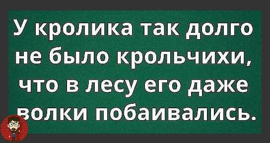 У кролика так долго не было крольчихи что в лесу его даже ЁЗОЛКИ побаивались а