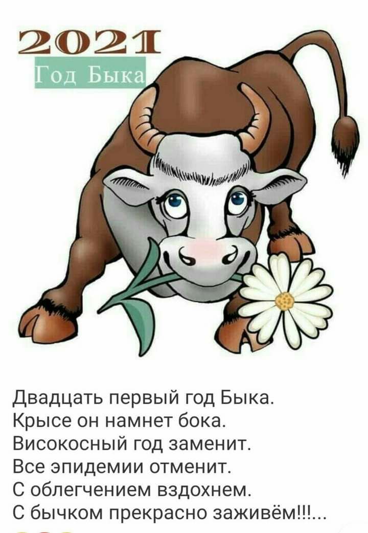 Двадцать первый год Быка Крысе он намнет бока Високосный год заменит Все эпидемии отменит С облегчением вздохнем С бычком прекрасно заживём