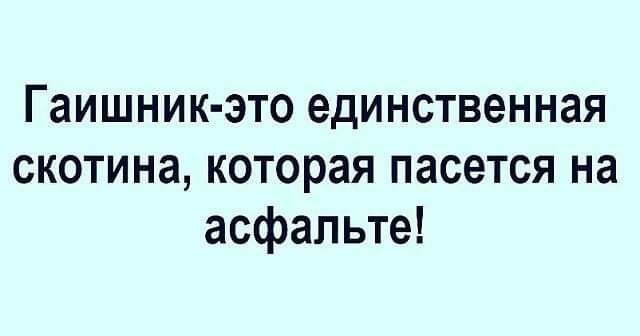 Гаишник это единственная скотина которая пасется на асфальте