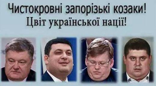 Чисгокровні запорізькі козаки Цвіт украінськоі націі