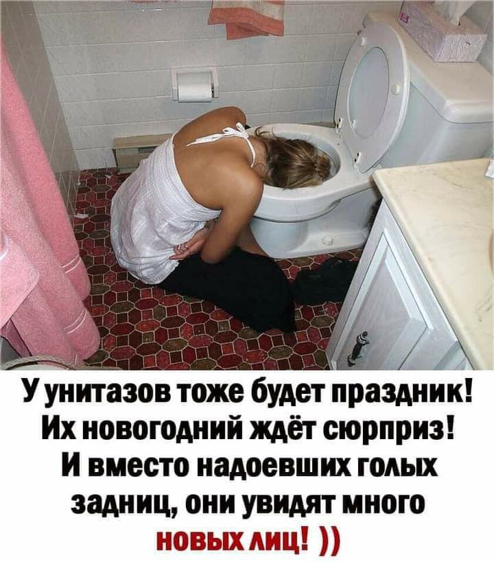 У унитазов тоже будет праздник Их новогодний ждёт сюрприз И вместо надоевших годых задниц они увидят много по вы шщ а