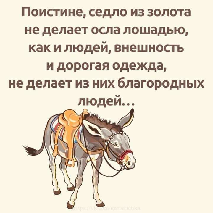 Поистине седло из золота не делает осла лошадью как и людей внешность и дорогая одежда не делает из них благородных