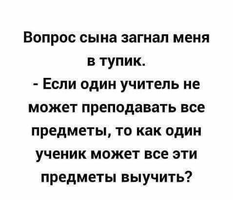 Вопрос сына загнал меня в тупик Если один учитель не может преподавать все предметы то как один ученик может все эти предметы выучить