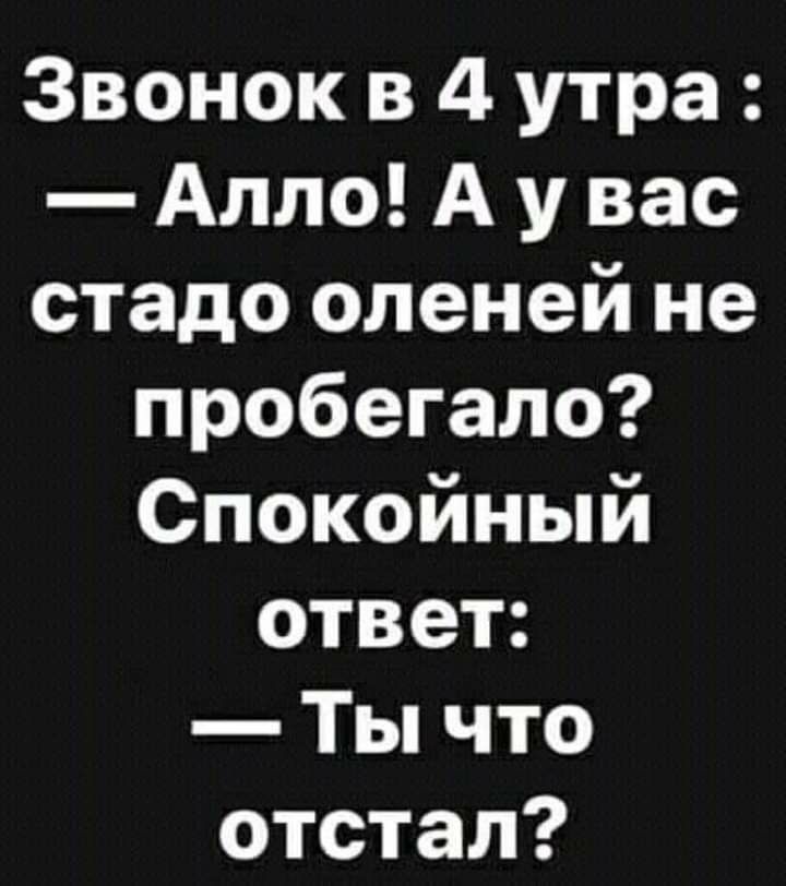 Звонок в 4 утра Алло А у вас стадо оленей не пробегало Спокойный ответ Ты что отстал