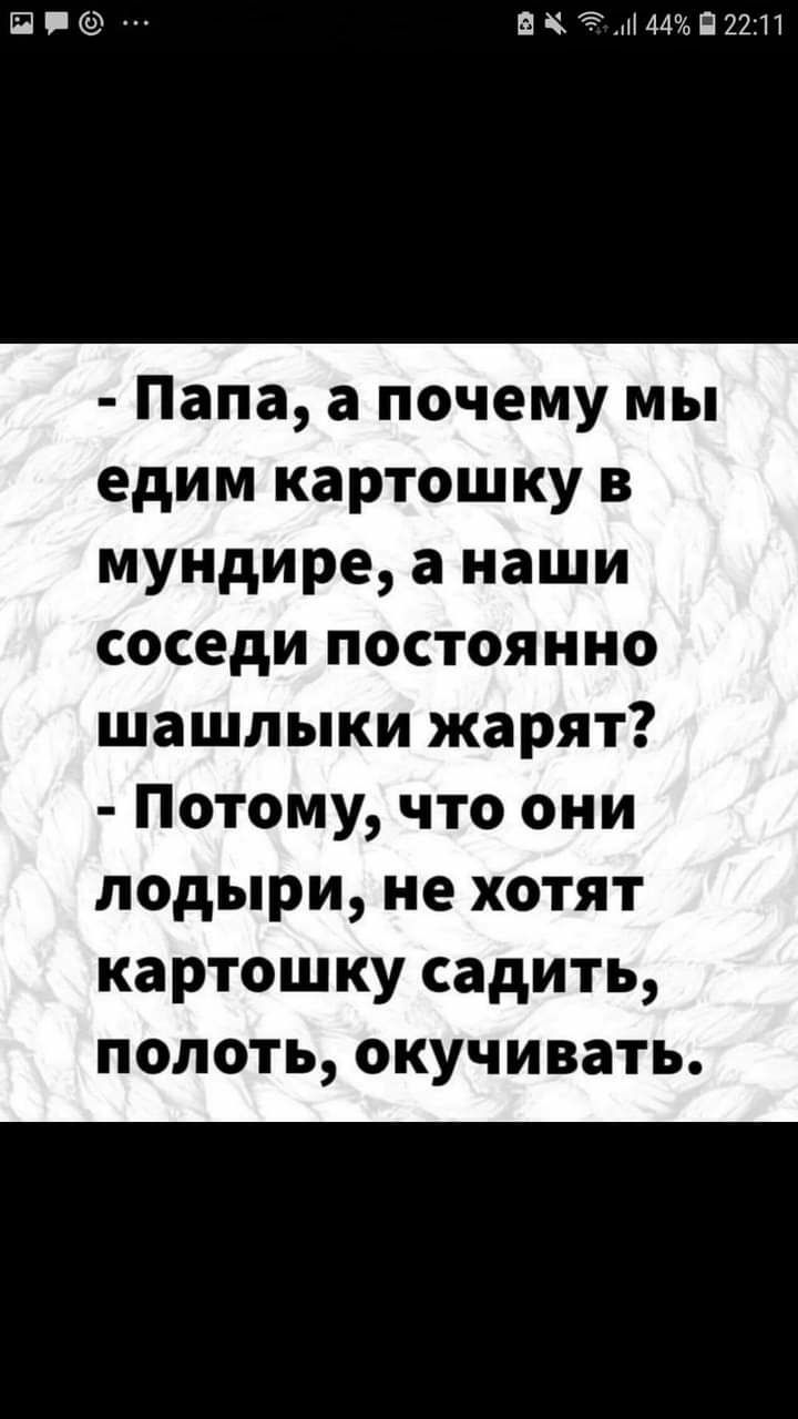 П Ф ЕКЭА44П22111 Папа а почему мы едим картошку в мундире а наши соседи постоянно шашлыки жарят Потому что они лодыри не хотят картошку садить полоть окучивать