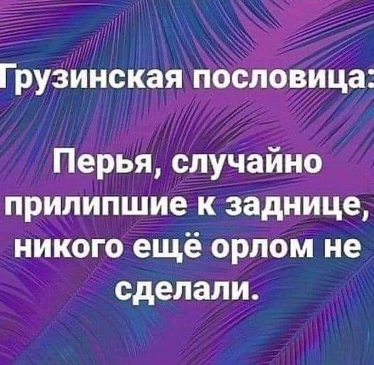 Почему куры теряют перья – Своё Фермерство