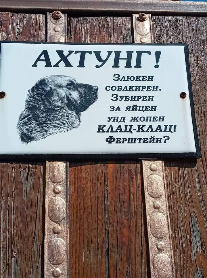 совдкирвн Зувирвн ЗА яйцвн унд жопнн КААЦ КААЦ Фвгштвйн
