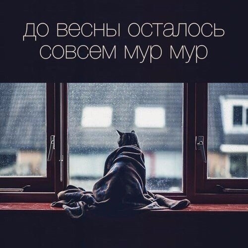 до весны осталось совсем мур мур