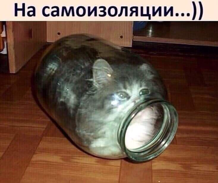 На самоизоляции
